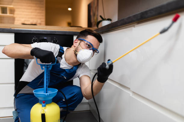 Best Termite Control Services  in Gaylord, MI