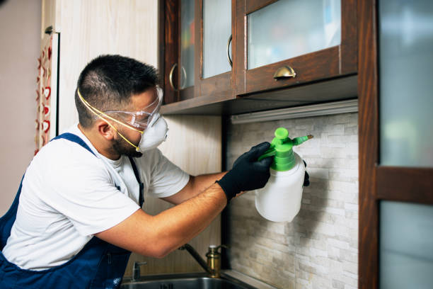 Best Mosquito Control Services  in Gaylord, MI