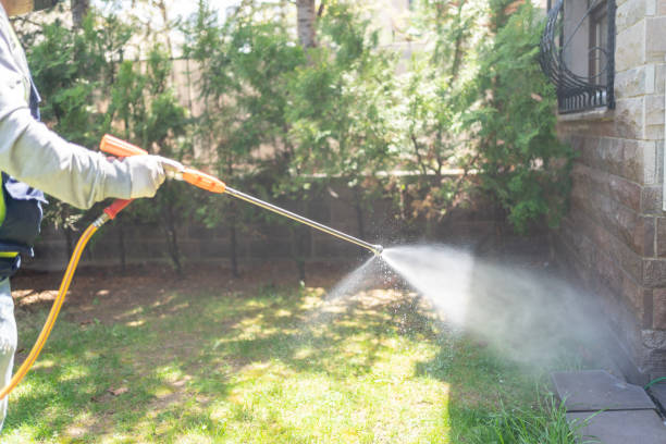 Best Residential Pest Control  in Gaylord, MI