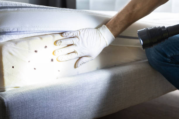 Best Cockroach Control Services  in Gaylord, MI