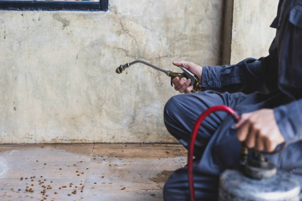 Best Pest Prevention Services  in Gaylord, MI