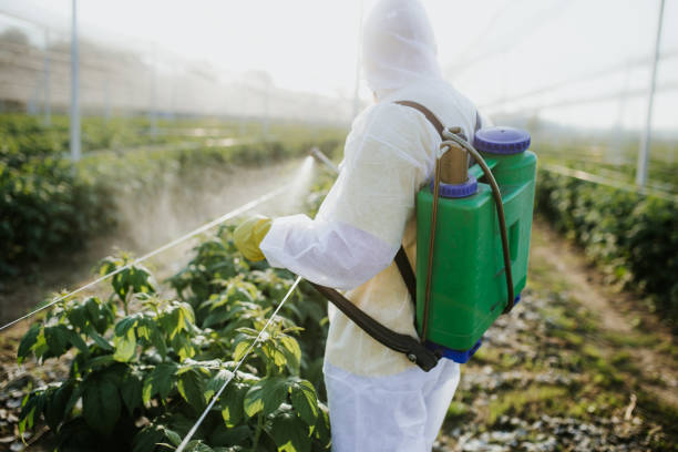 Trusted Gaylord, MI Pest Control Experts